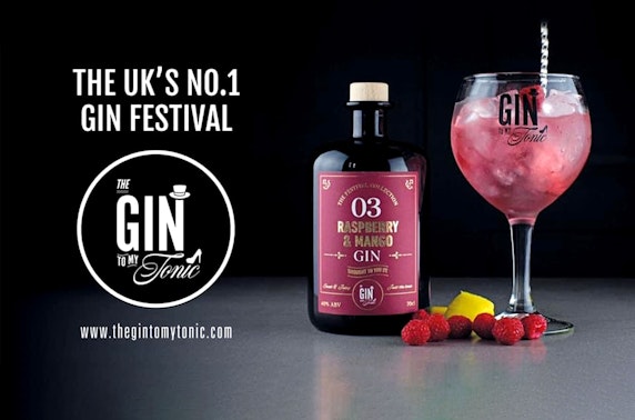 The Gin to My Tonic Festival, Newcastle