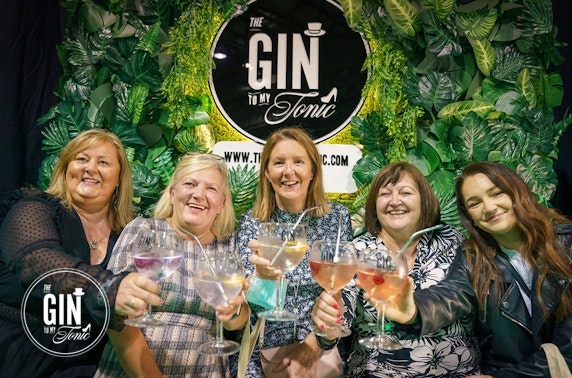 The Gin to My Tonic Festival, Newcastle