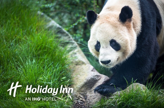 Holiday Inn Edinburgh Zoo stay