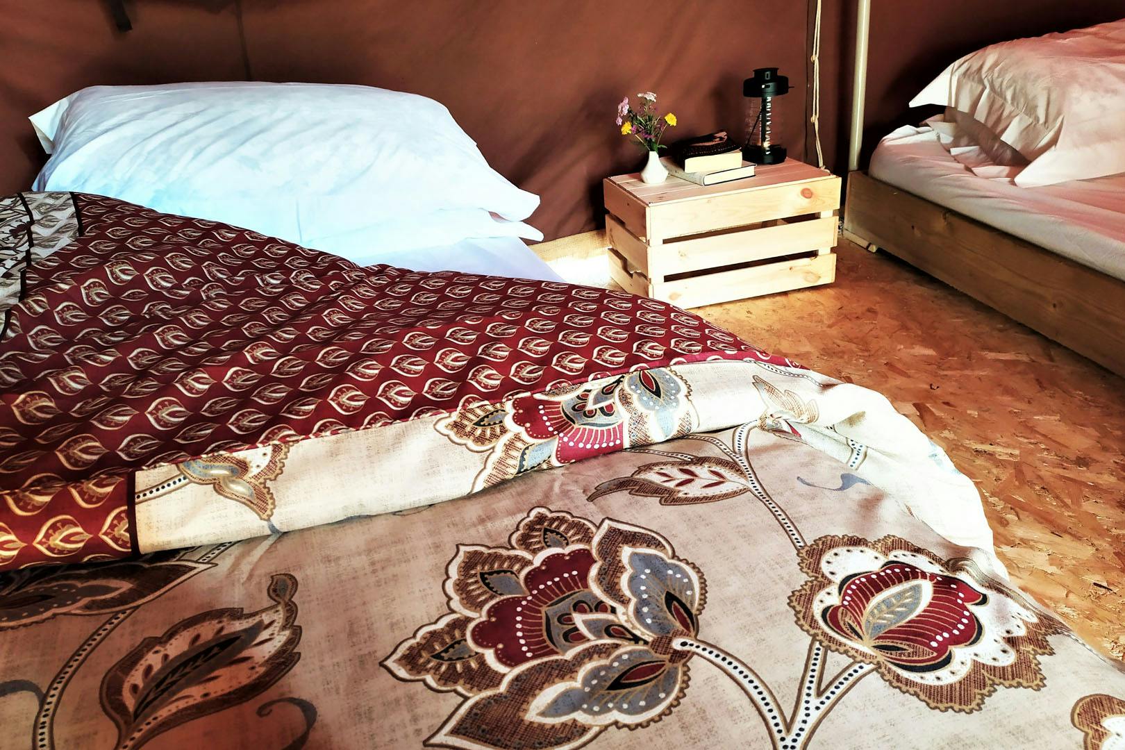 Action Adventure Activities