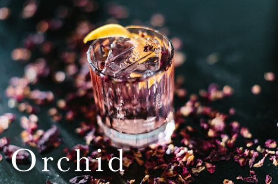 Orchid Aberdeen gin tasting