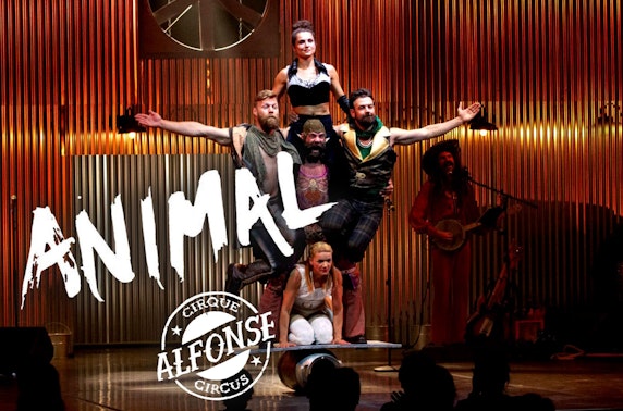 Cirque Alfonse: Animal at the Fringe