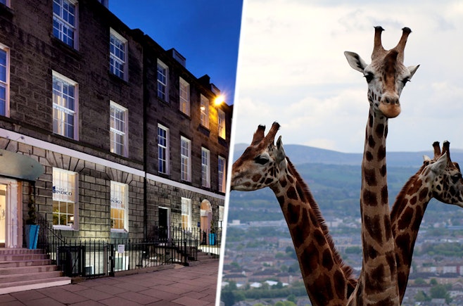 4* Edinburgh stay & zoo tickets