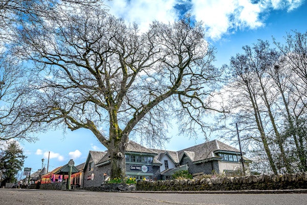 The Oak Tree Inn 