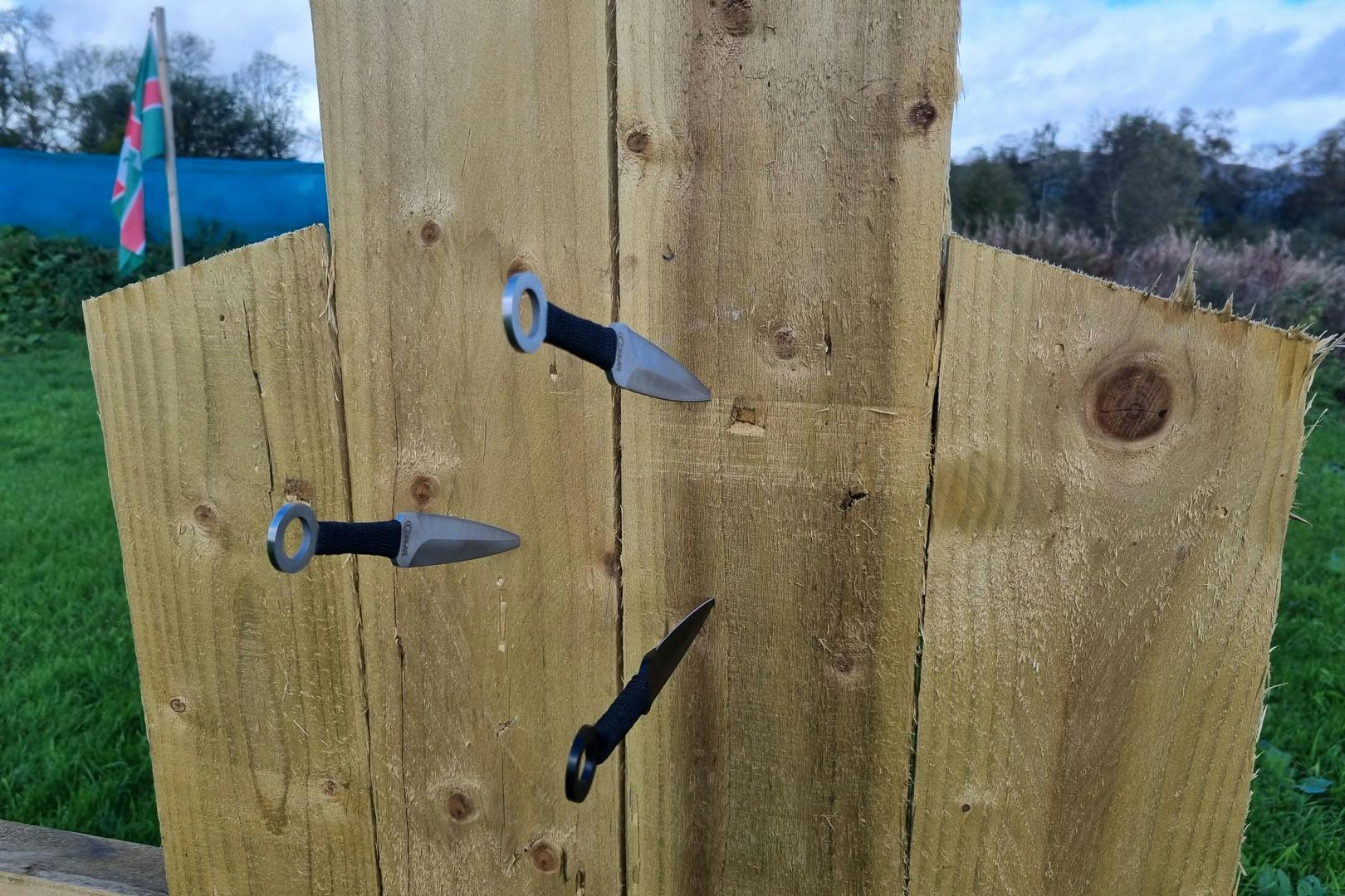 Action Adventure Activities