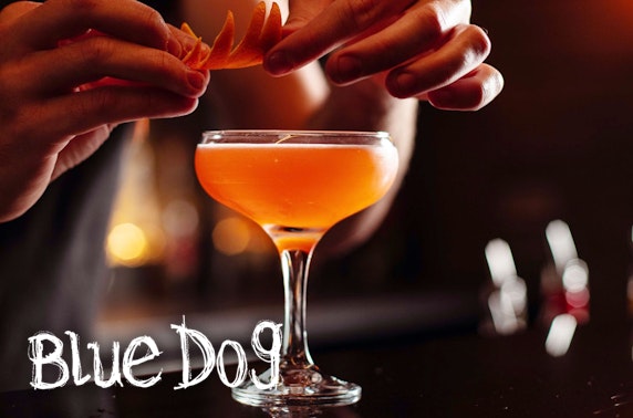 Cocktails & nibbles at Blue Dog