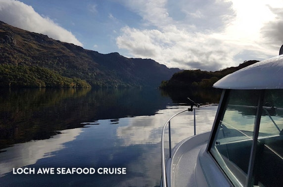 Loch Awe private cruise