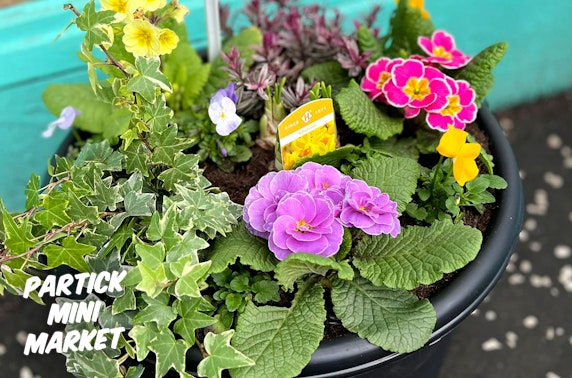 Spring planter workshop, Partick Mini Market