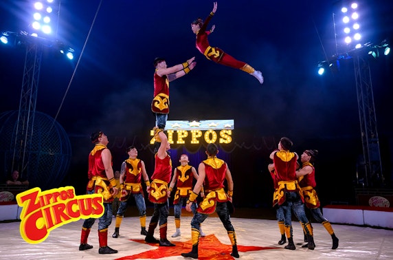 Zippos Circus, Arbroath