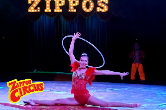 Zippos Circus, Ayr
