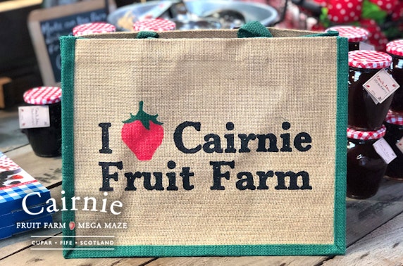 Cairnie Fruit Farm family ticket