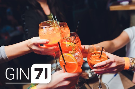 Gin71 drinks & nibbles