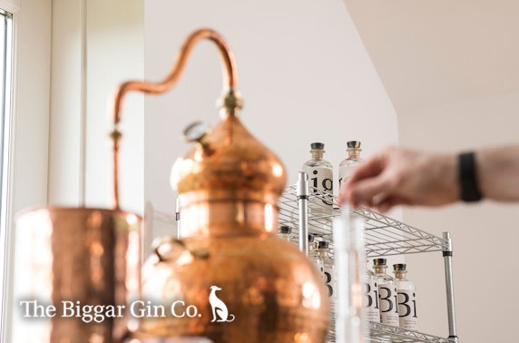 Biggar Gin distillery tours
