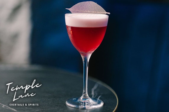 Temple Lane cocktail masterclass
