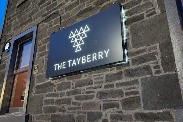 The Tayberry