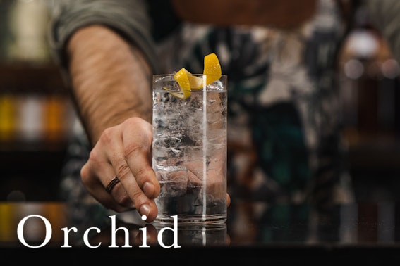 Local gin tasting at Orchid