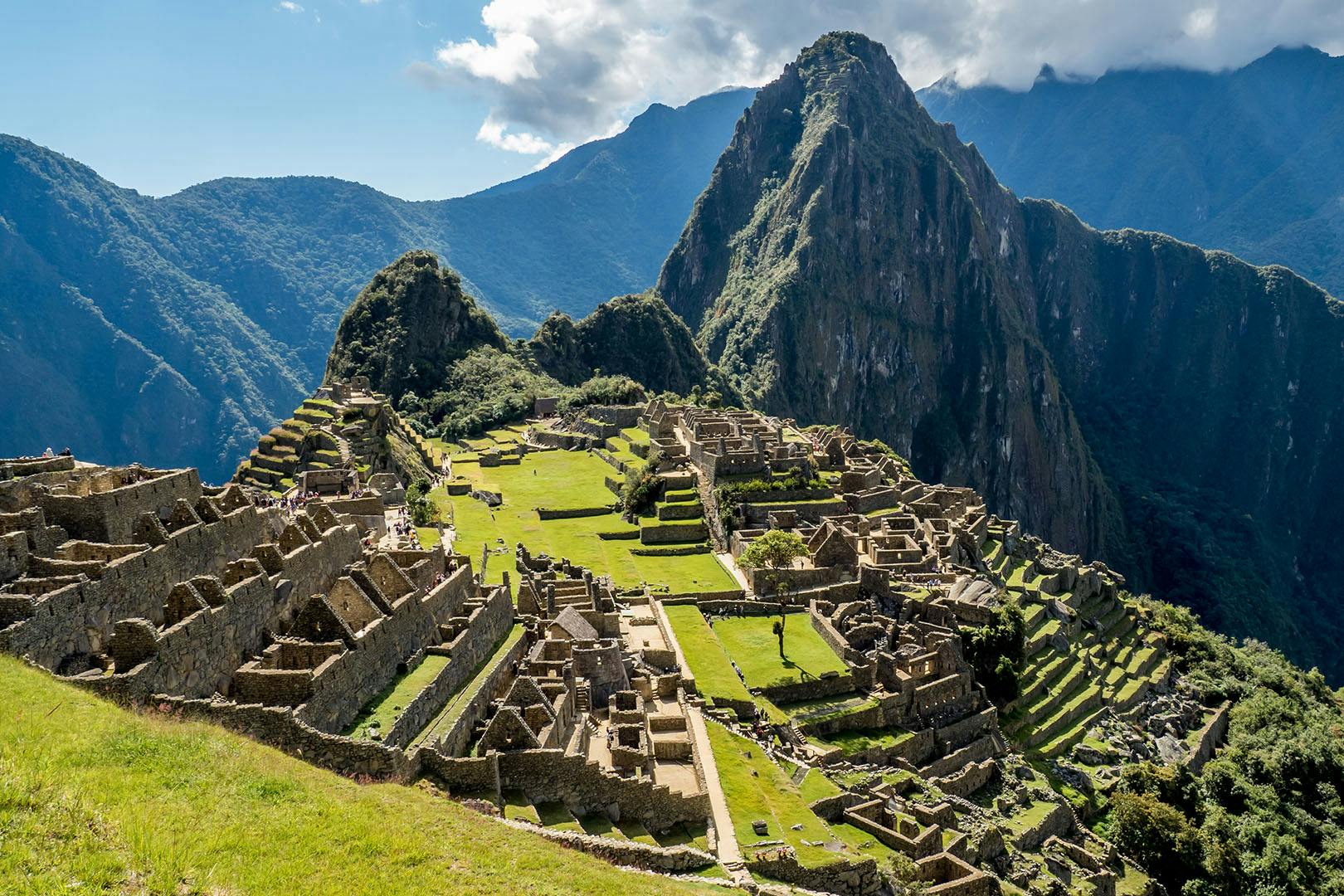 Top Hat & Bishop murder mystery