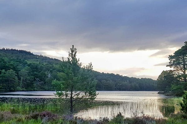 The Boat Country Inn & Restaurant