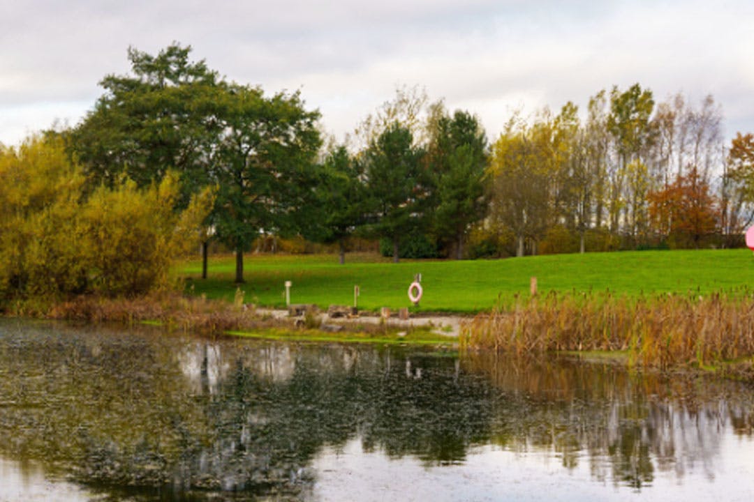 The Garden Party 2026