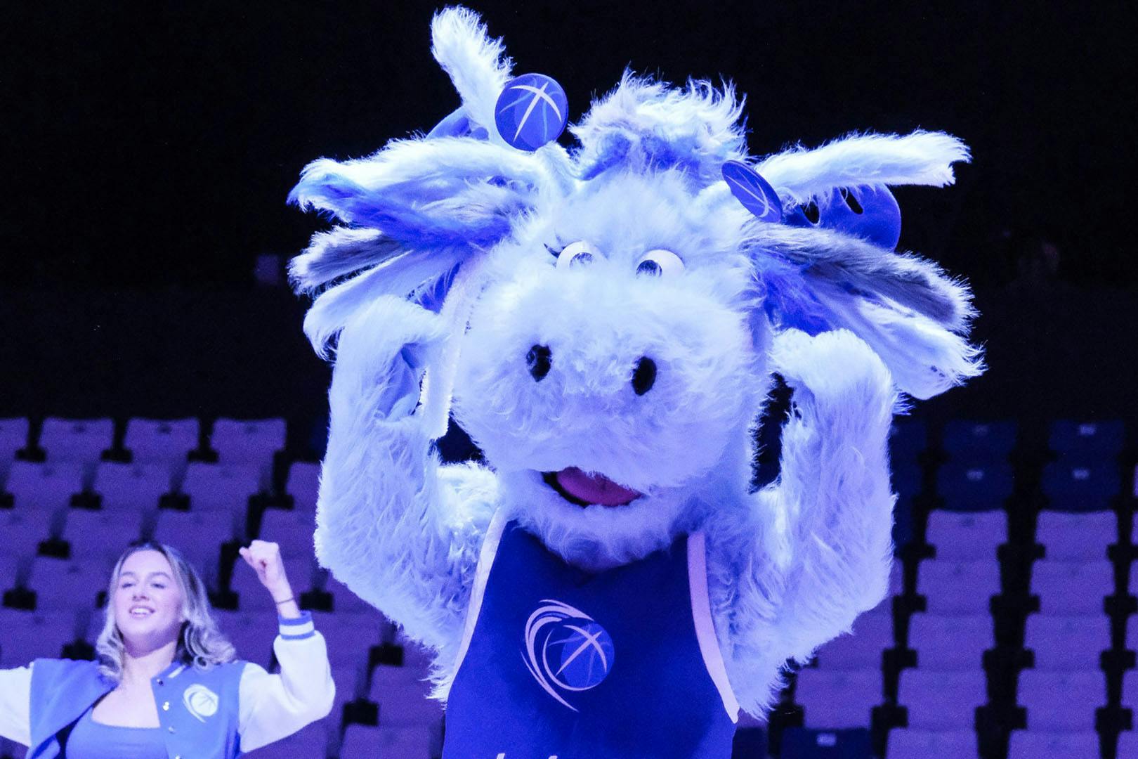 Caledonia Gladiators