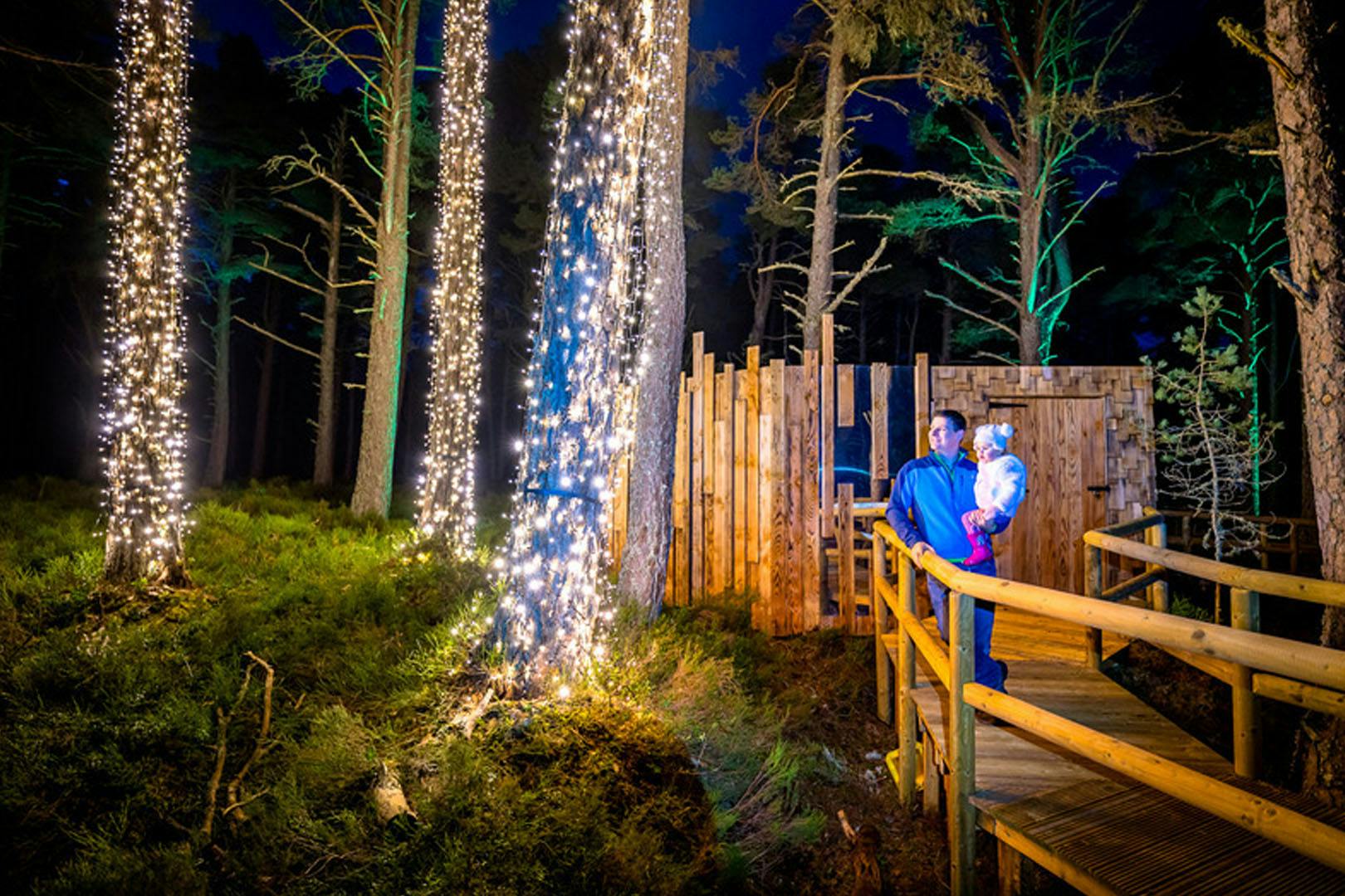 Landmark Forest Adventure Park