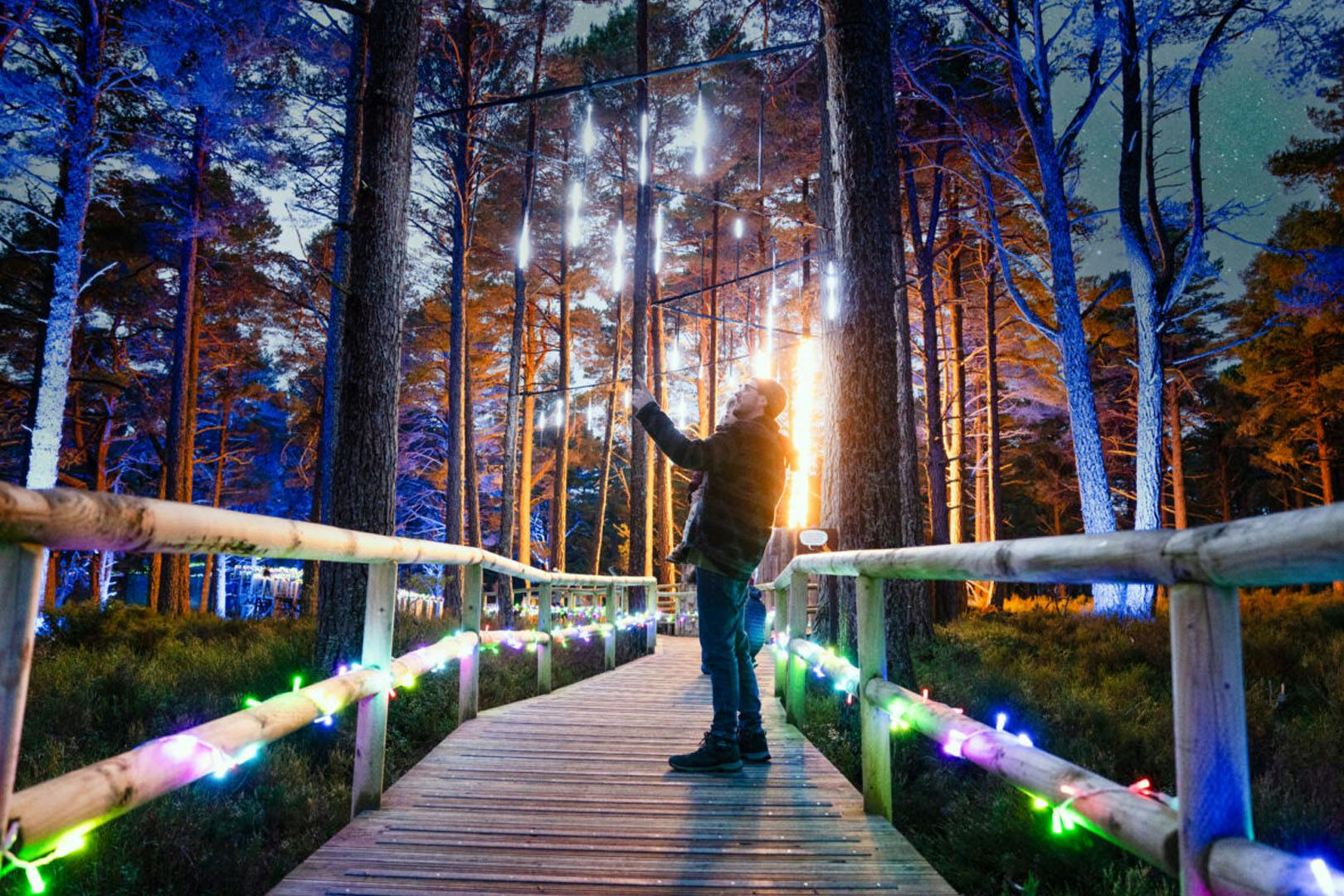 Landmark Forest Adventure Park