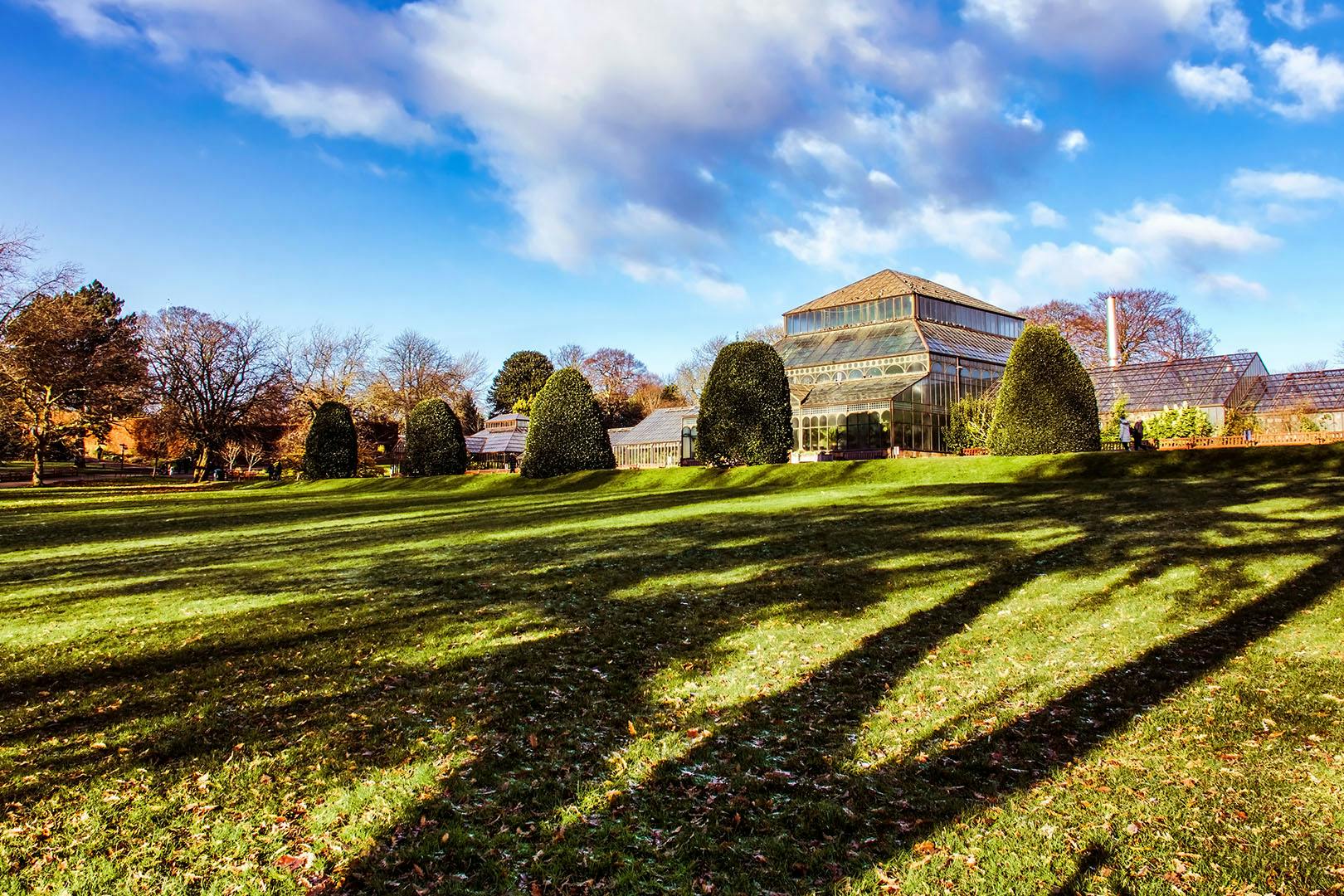 Tearoom at the Botanics