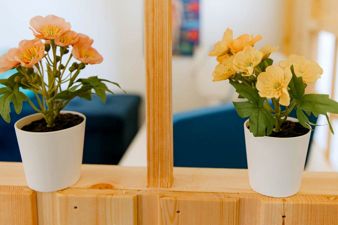 Little Neuk Storytelling Centre