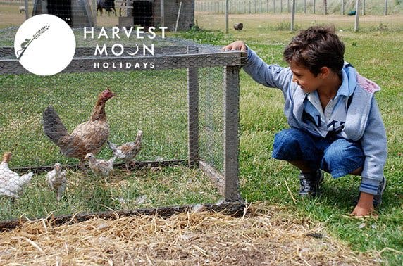 Harvest Moon Holidays