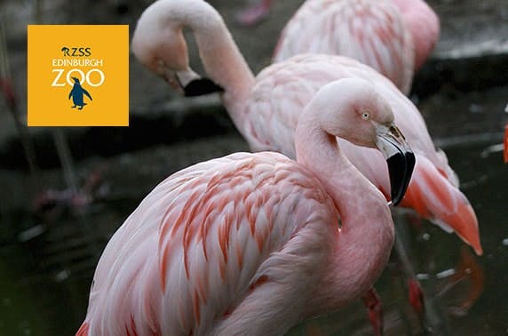 Edinburgh Zoo