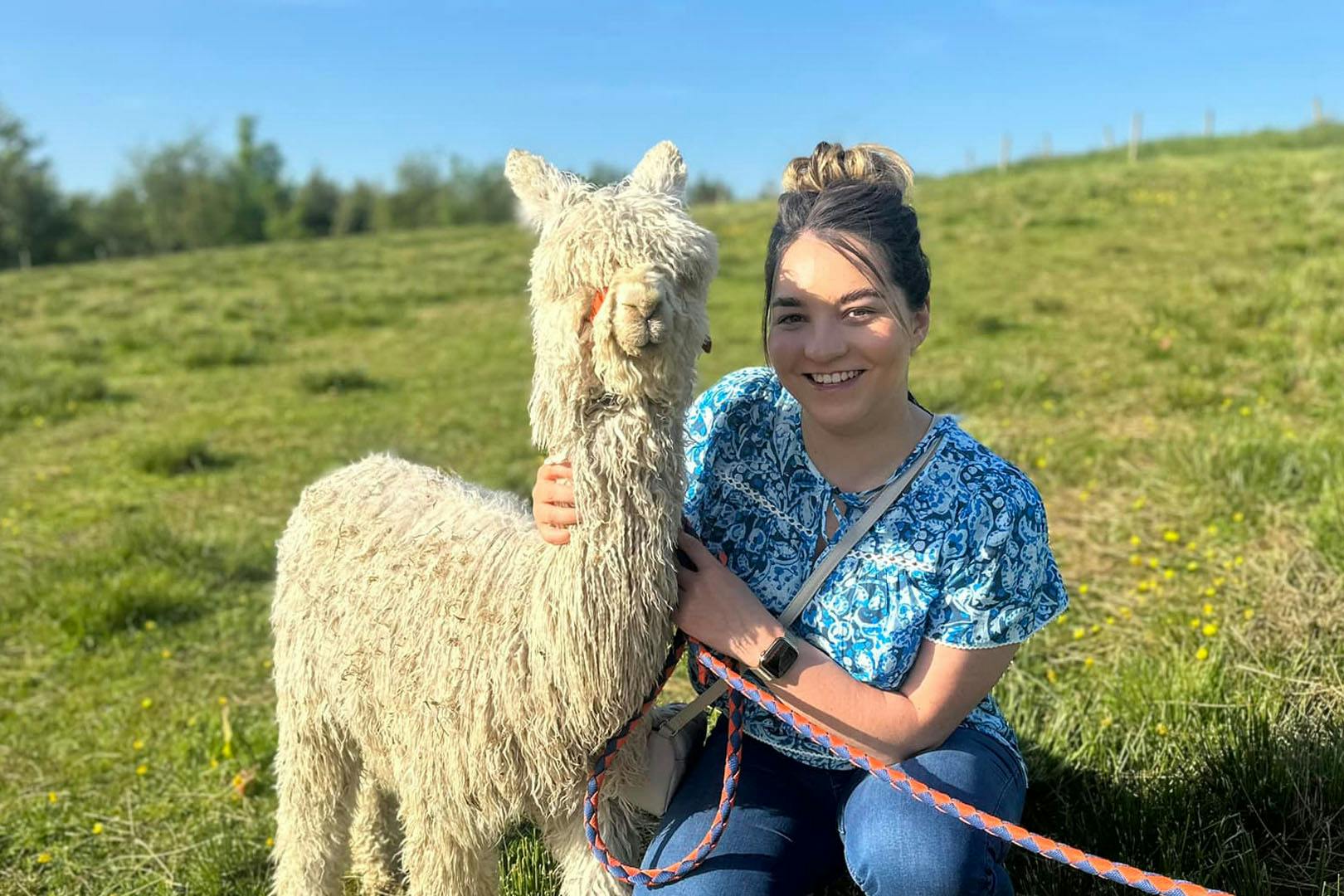 Alpacas of Scotland Experiences