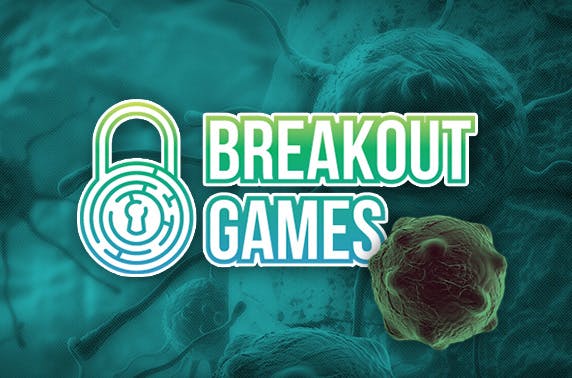 Breakout Games