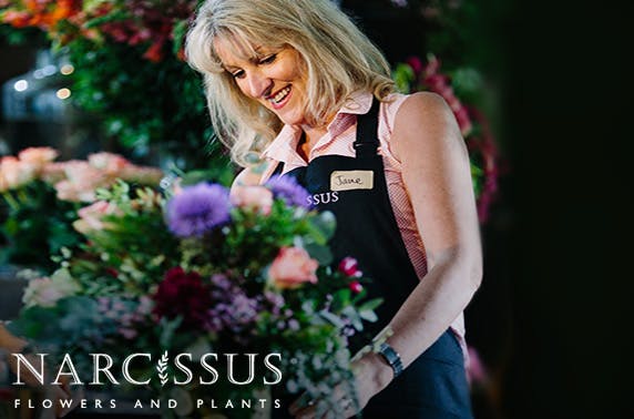 Narcissus Flowers ltd